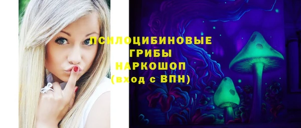 прущие грибы Волоколамск