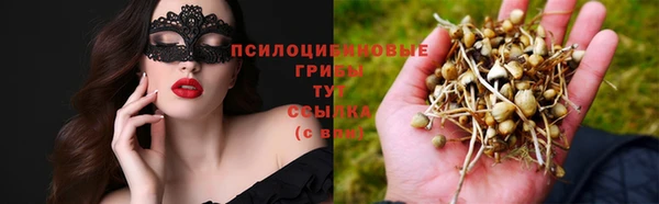 молекула духа Володарск