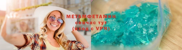 прущие грибы Волоколамск