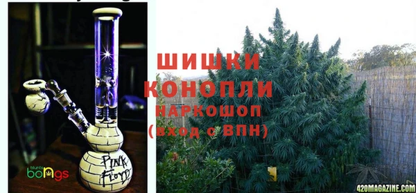 молекула духа Володарск